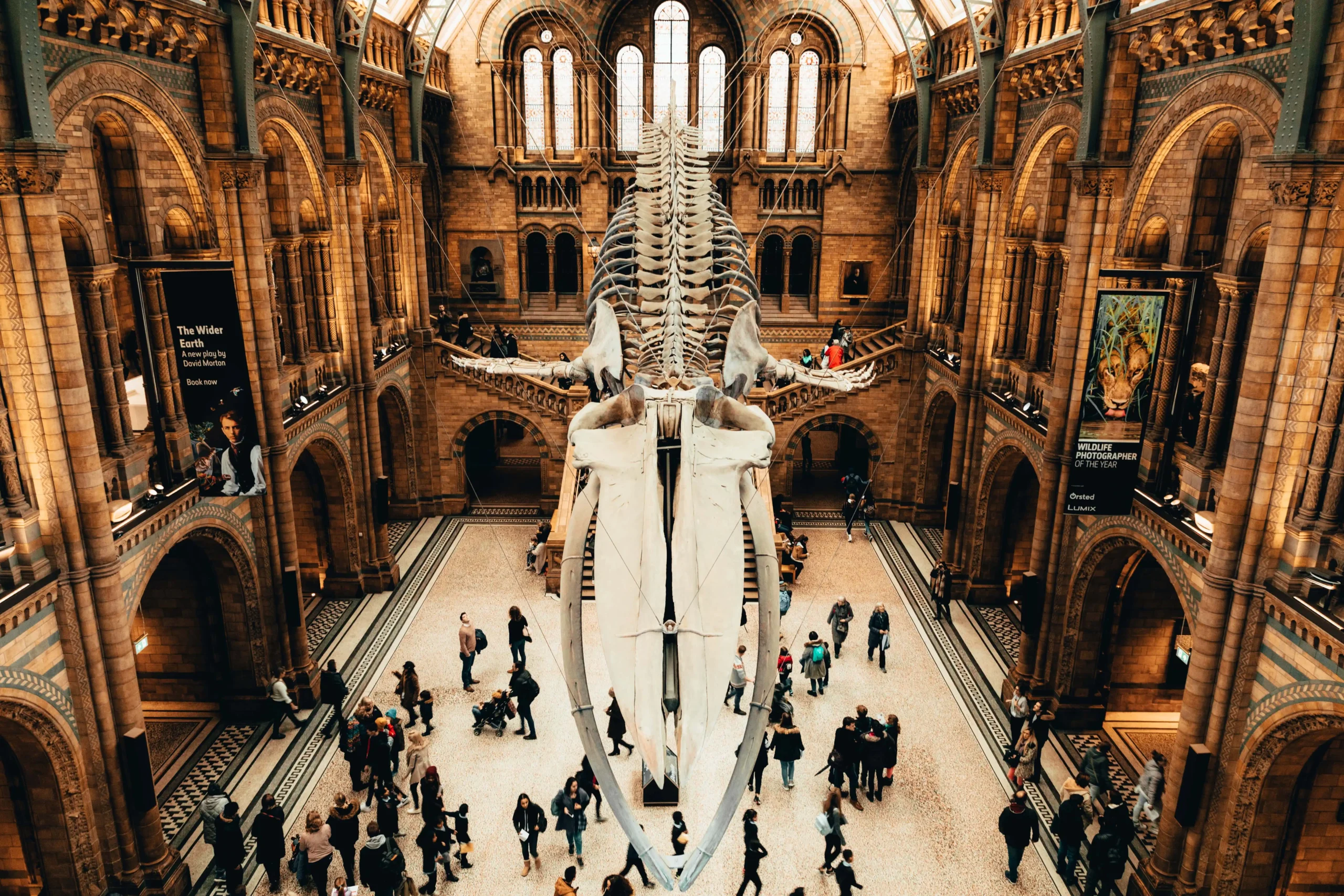 The Natural History Museum